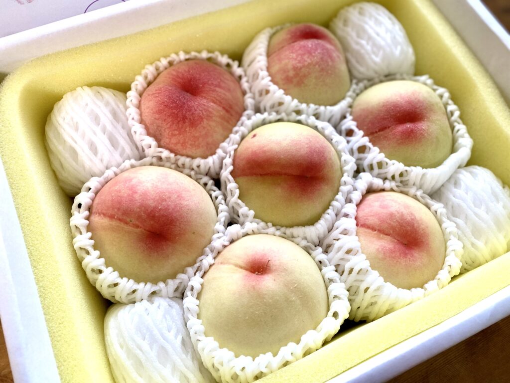 岡山県倉敷市産の白桃