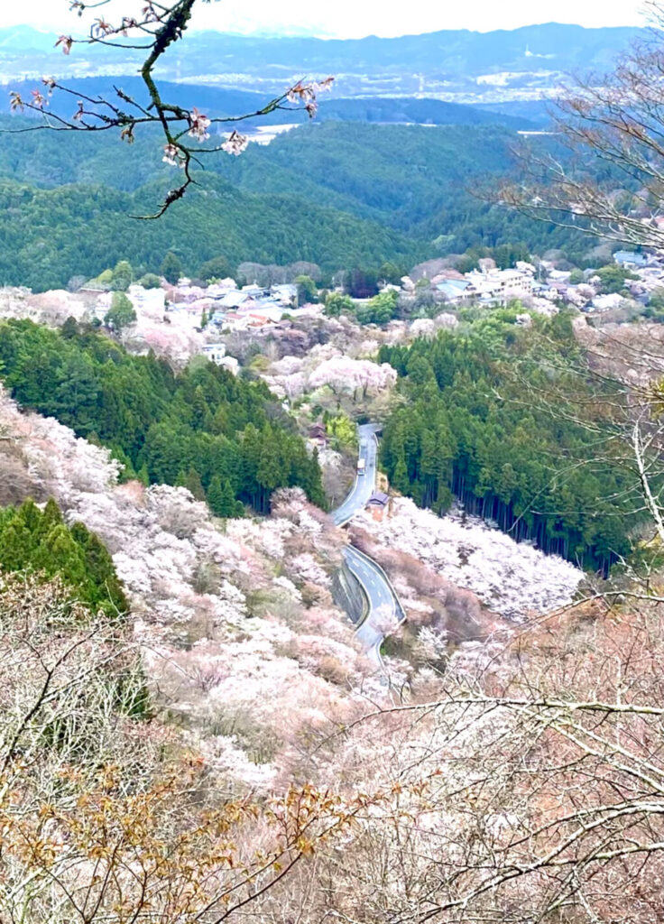 吉野山